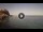 Webcam in Scilla, 15.6 km