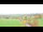 Webcam in Manderfeld, 33.1 km entfernt