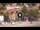 Webcam in Alassio, 1.9 mi away