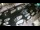 Webcam in Veli Lošinj, 1.3 mi away