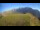 Webcam in Gossensaß, 11.4 km entfernt