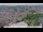 Webcam in Amiens, 55.1 km