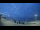Webcam in Veulettes-sur-Mer, 24.3 km