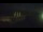 Webcam in Veules-les-Roses, 8.4 mi away