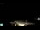 Webcam in Saint-Aubin-sur-Mer, 1.5 mi away