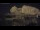 Webcam in Alicante, 4.5 mi away