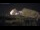 Webcam in Alicante, 8.1 mi away