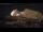 Webcam in Alicante, 7.4 mi away
