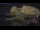Webcam in Alicante, 12.6 mi away
