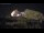 Webcam in Alicante, 13 km