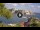 Webcam in San Domino (Tremiti-Inseln), 42.8 km