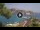Webcam in San Domino (Isole Tremiti), 43.7 km
