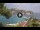 Webcam in Isole Tremiti - San Domino, 43.7 km