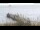 Webcam in Wyk auf Föhr, 31.3 km