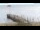 Webcam in Wyk auf Föhr, 8.6 km