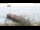 Webcam in Wyk auf Föhr, 4.9 mi away