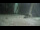 Webcam in Borkum, 15.8 mi away