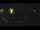 Webcam in Nonnenhorn, 10.8 km entfernt