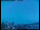 Webcam in Lille, 0.3 mi away
