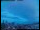 Webcam in Lille, 35.2 mi away