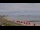 Webcam in Schönhagen, 2.1 mi away