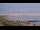 Webcam in Schönhagen, 1.1 mi away