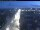 Webcam in Aberdeen, 1.7 km entfernt
