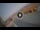 Webcam in Marina di Grosseto, 2.6 mi away