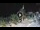 Webcam in San Bartolomeo al Mare, 7.9 km entfernt