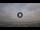 Webcam in Viareggio, 8.7 km