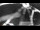 Webcam in Agno (Luganersee), 4.3 km entfernt