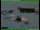 Webcam in Davis Station, 1519.8 km