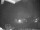 Webcam in Dorfgastein, 2.5 mi away