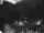 Webcam in Dorfgastein, 2.7 mi away