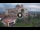 Webcam in Aparecida, 804.5 km