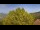 Webcam in Bosia, 15.8 km entfernt