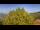 Webcam in Bosia, 5.2 km