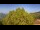 Webcam in Bosia, 19.3 km