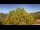Webcam in Bosia, 6.1 km
