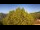 Webcam in Bosia, 14 km