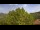 Webcam in Bosia, 29.4 km