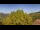 Webcam in Bosia, 43.6 km