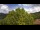 Webcam in Bosia, 15.8 km