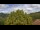 Webcam in Bosia, 3.6 km