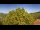 Webcam in Bosia, 19.3 km