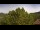Webcam in Bosia, 19.5 mi away