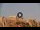 Webcam in Athens, 40.8 mi away