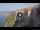 Webcam in Míthymna (Lesbo), 302.2 km