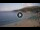 Webcam in Cavoli (Elba), 3.4 mi away