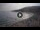 Webcam in Elba - Cavoli, 13.4 km